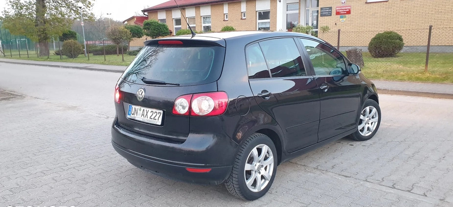 Volkswagen Golf Plus cena 17300 przebieg: 234321, rok produkcji 2007 z Białogard małe 191